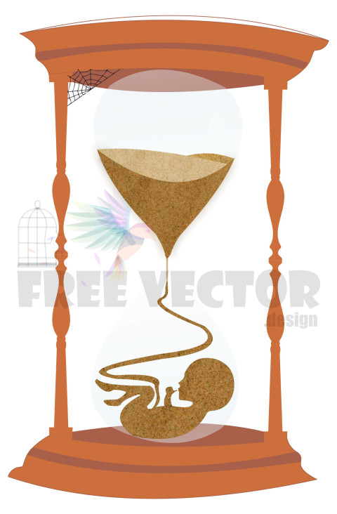 hourglass newborn pdf vector free download